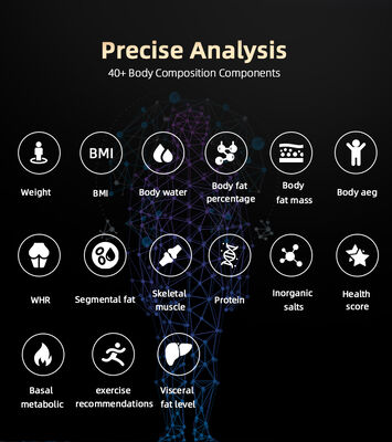 SH-10F Professional Body Composition Analyzer Machine