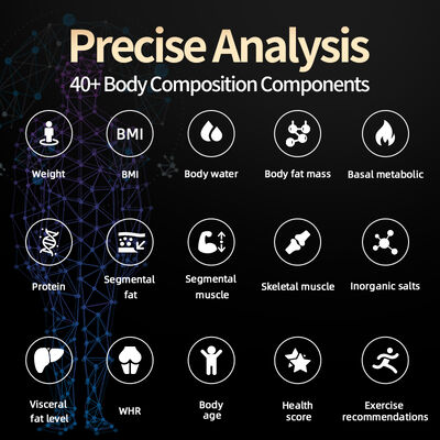 SH-10F Smart Body Analysis Machine for Gym