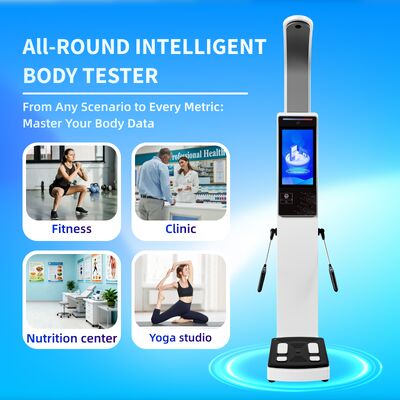 Hotsale Body Composition Analyzer for Gym and Home Use Analyzer Machine Bioelectrical Impedance with Thermal Printer